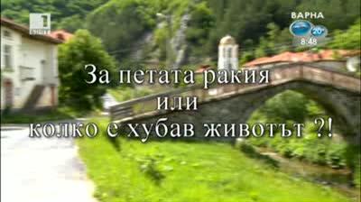 БНТ Такси - 12 юни 2013	
